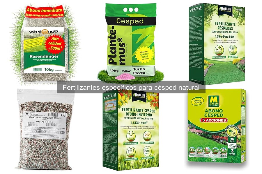 Guía sobre Fertilizantes Específicos para Césped Natural