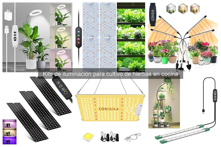 Guía sobre Kits de Iluminación para Cultivo de Hierbas en Cocina