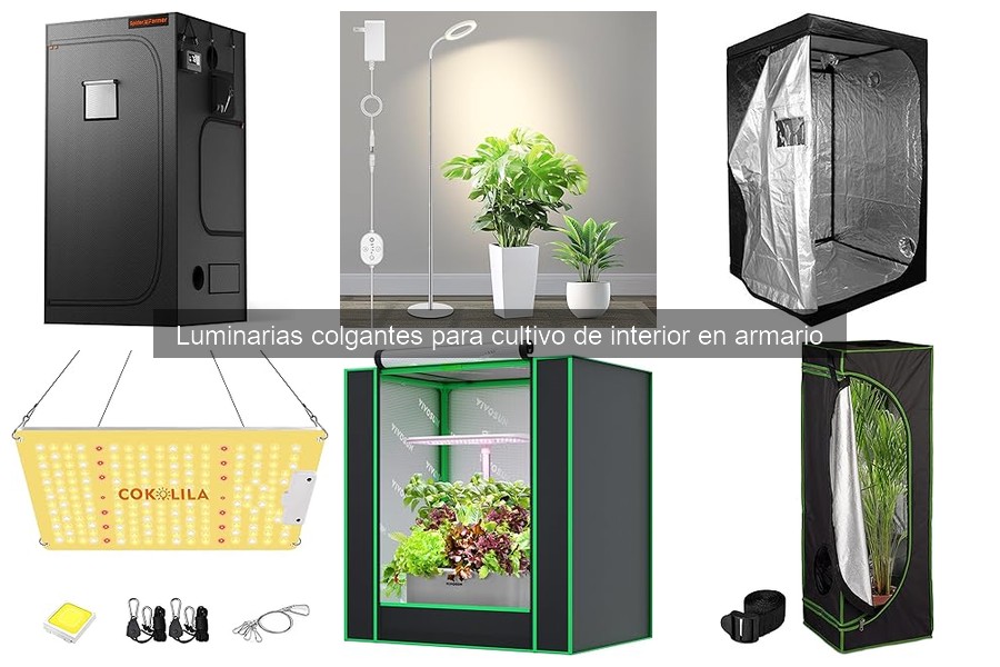 Horas ideales para encender luminarias colgantes en cultivos