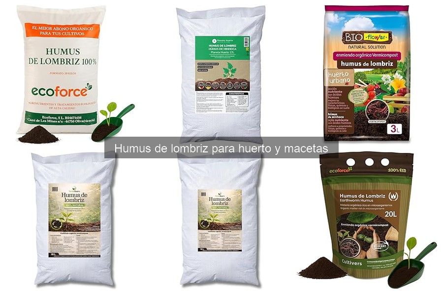 Humus de lombriz vs fertilizantes químicos: ¿Cuál es mejor?