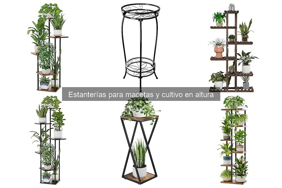 Ideas de diseño para estanterías de macetas atractivas