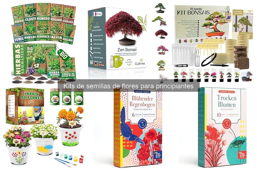 Ideas de flores para cultivar con kits para principiantes
