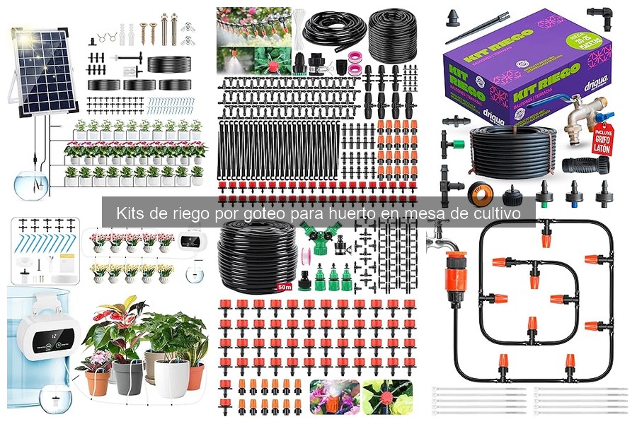 Impacto ambiental de los kits de riego por goteo