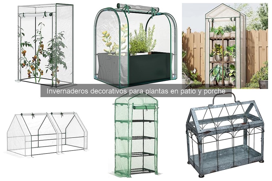Innovaciones en invernaderos decorativos para tu patio