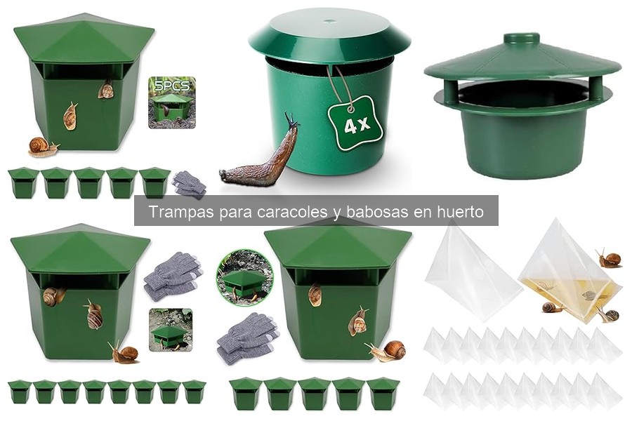 Instala trampas para caracoles y babosas fácilmente