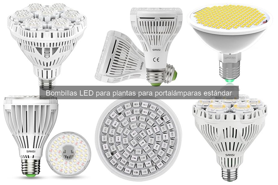 Instalación de Bombillas LED para Plantas en Portalámparas