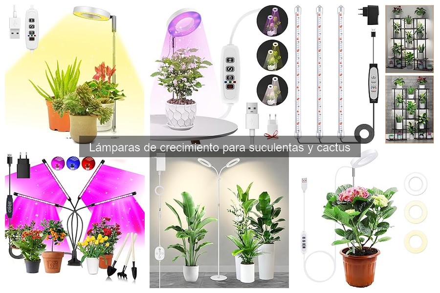 Instrucciones para instalar lámparas de crecimiento para suculentas