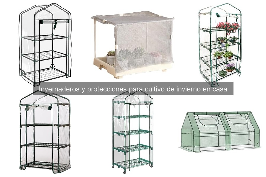 Invernaderos económicos vs. de alta gama: ¿cuál elegir?
