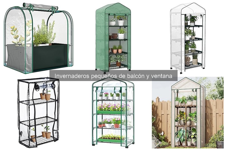 Invernaderos pequeños para balcón: definición y beneficios