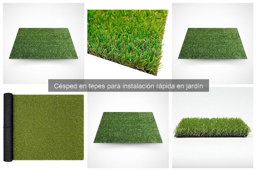 La Mejor Época para Instalar Césped en Tepes