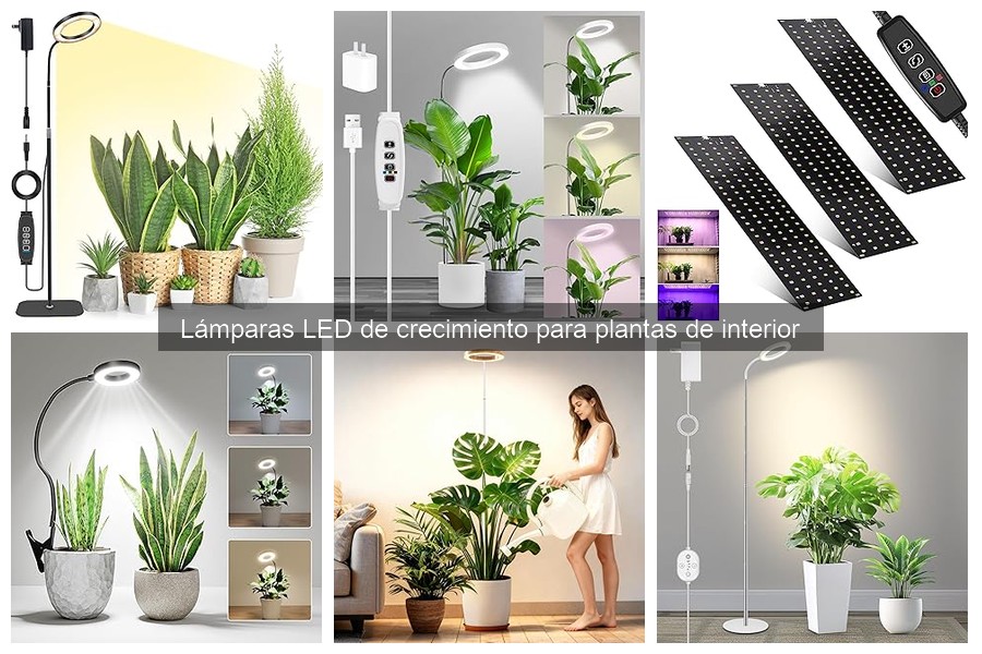 Lámparas LED de crecimiento para hidroponía: guía de compra