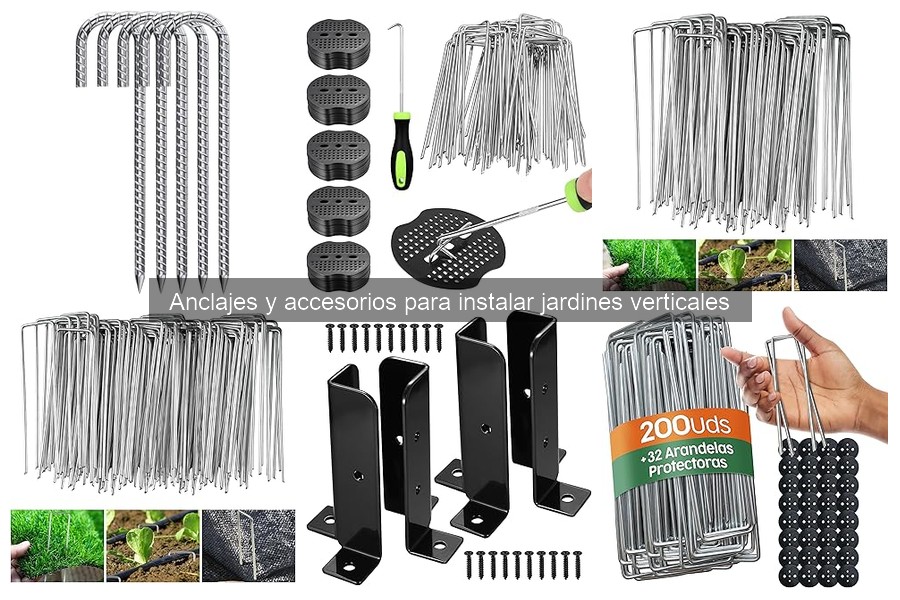 Las Mejores Plantas para Jardines Verticales con Anclajes