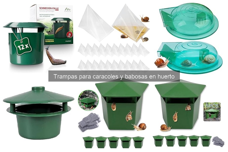 Lo Que Hacer Si Las Trampas Para Caracoles No Funcionan