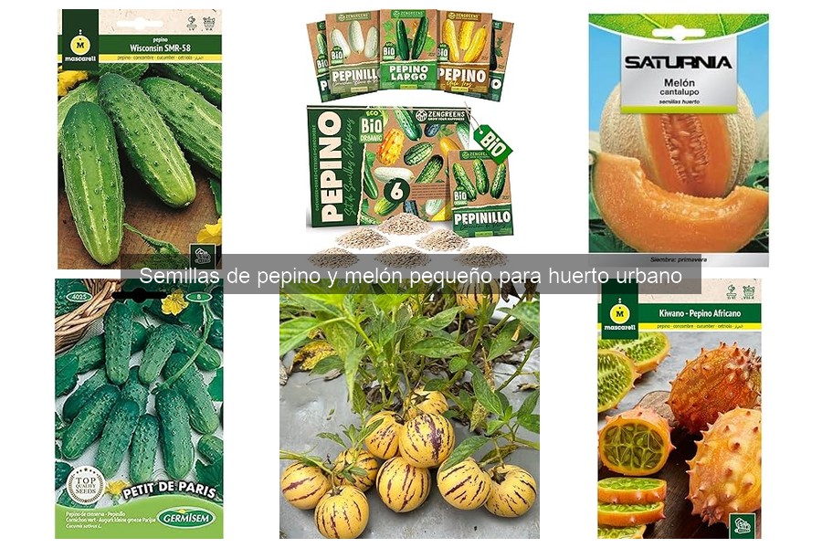 Los mejores sustratos para cultivar pepinos y melones en casa
