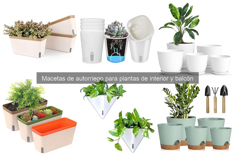 Macetas de Autorriego vs. Macetas Convencionales: ¿Cuál Elegir?