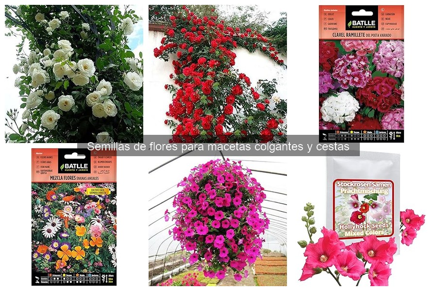 Mantén frescas las flores de tus macetas colgantes