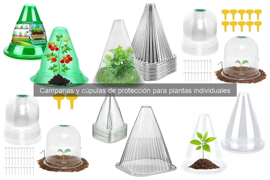 Mantenimiento de Campanas y Cúpulas de Protección para Plantas