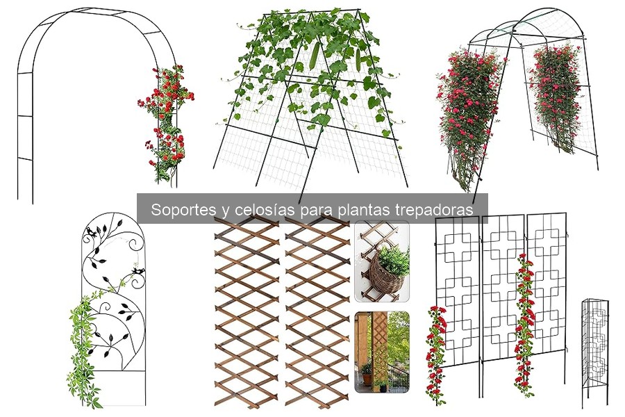 Mantenimiento de celosías para plantas trepadoras en cada estación