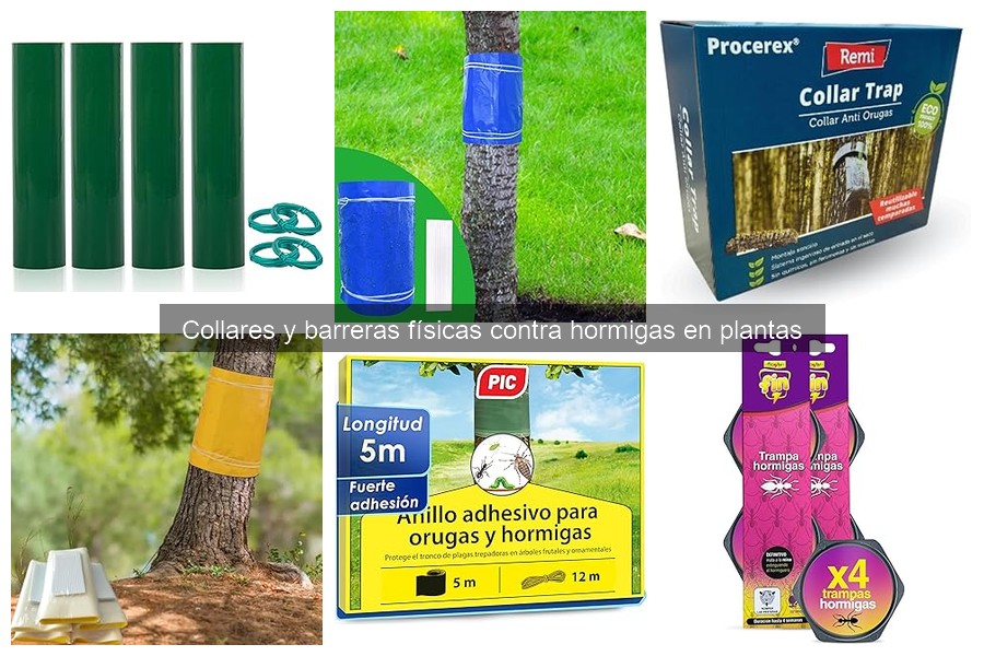 Mantenimiento de collares y barreras contra hormigas