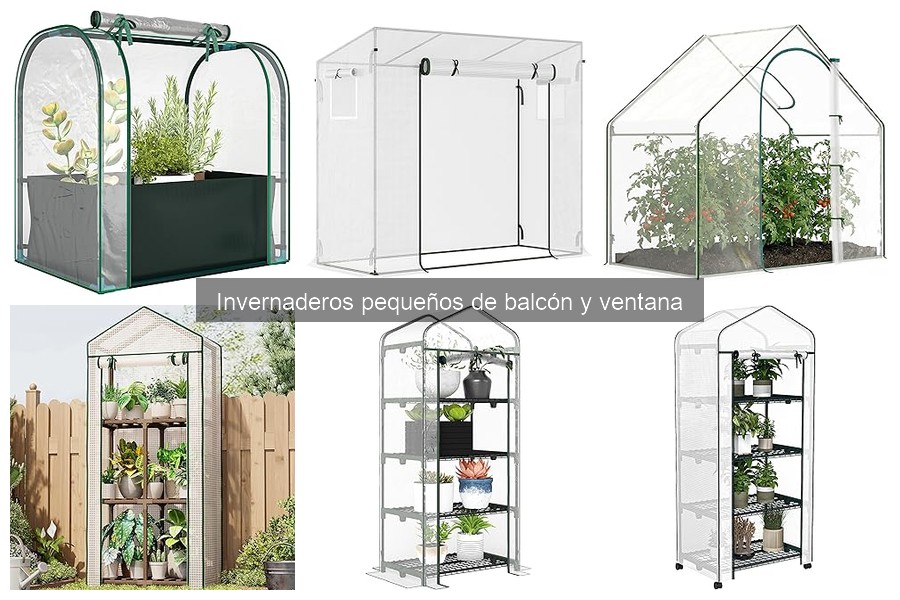 Mantenimiento de Invernaderos Pequeños: Consejos Esenciales