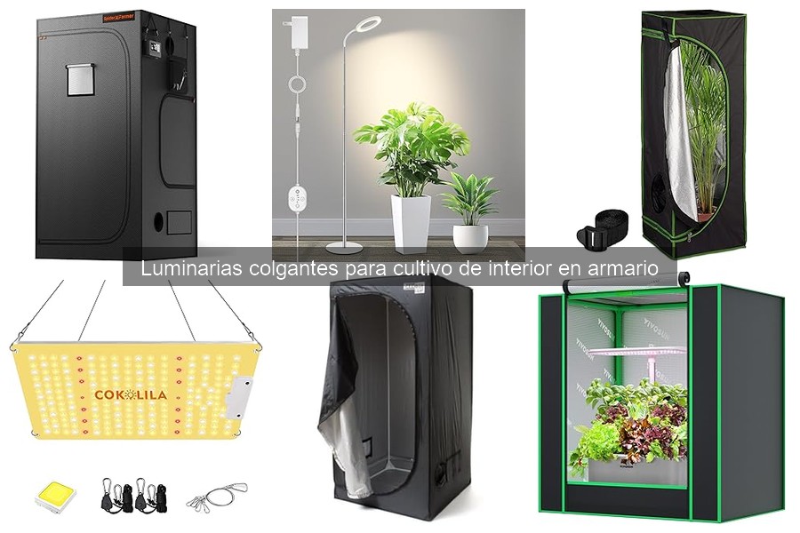 Mantenimiento de Luminarias Colgantes para Cultivo Interior