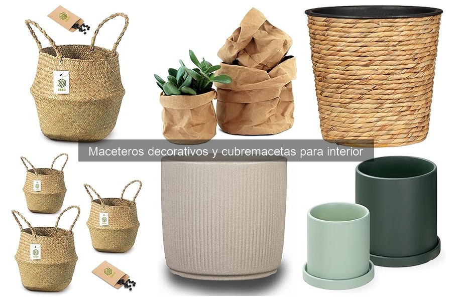 Mantenimiento de maceteros decorativos: limpieza y cuidado