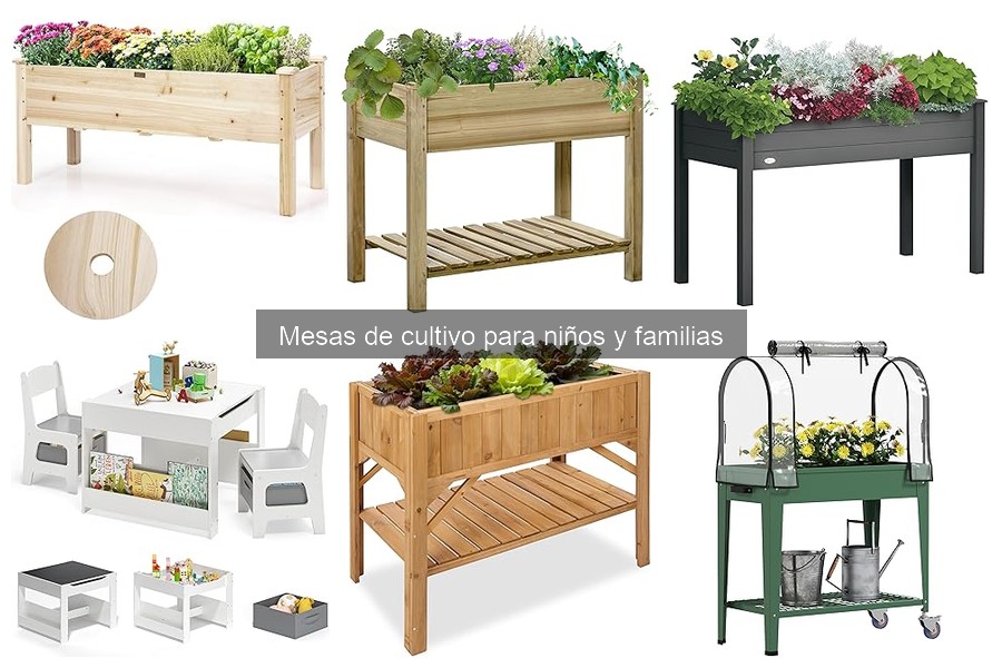 Mantenimiento de Mesas de Cultivo para Niños: Consejos Útiles