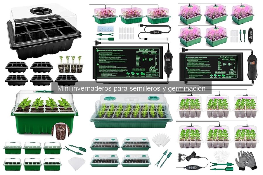 Mantenimiento de mini invernaderos: consejos esenciales
