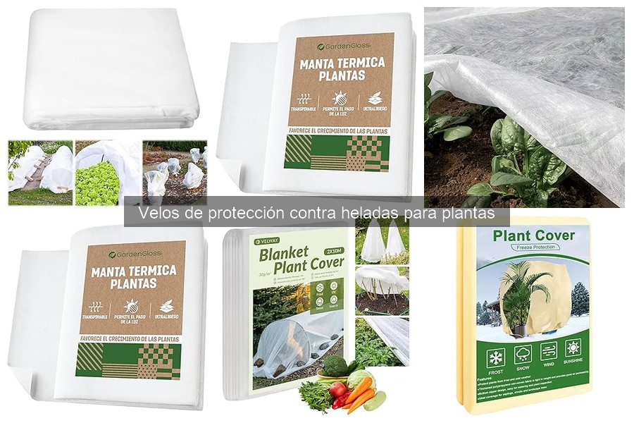 Mantenimiento de Velos de Protección contra Heladas para Plantas