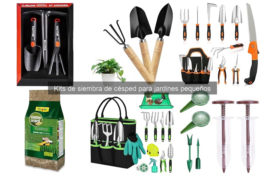 Mantenimiento del Césped: Consejos para Kits de Siembra