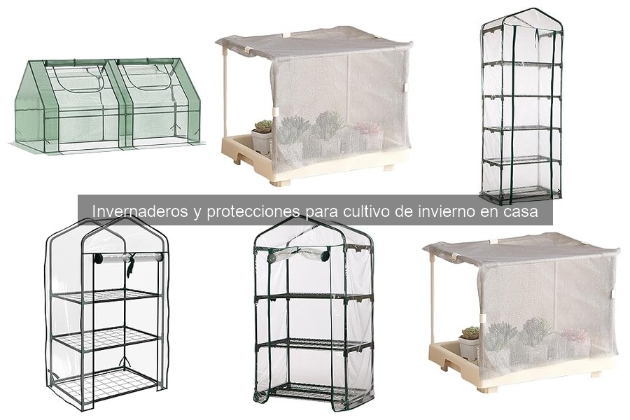 Materiales ideales para construir invernaderos en casa