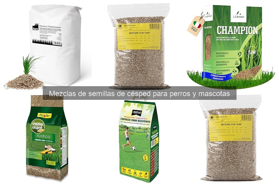 Mejor momento para sembrar césped para perros y mascotas