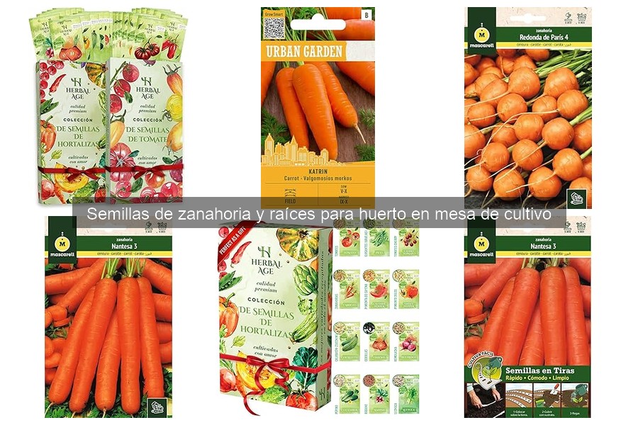 Mejor momento para sembrar zanahorias en huerto urbano