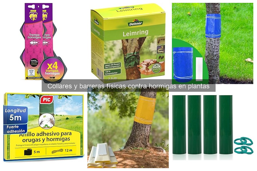 Mejor Momento para Usar Collares y Barreras Antihormigas