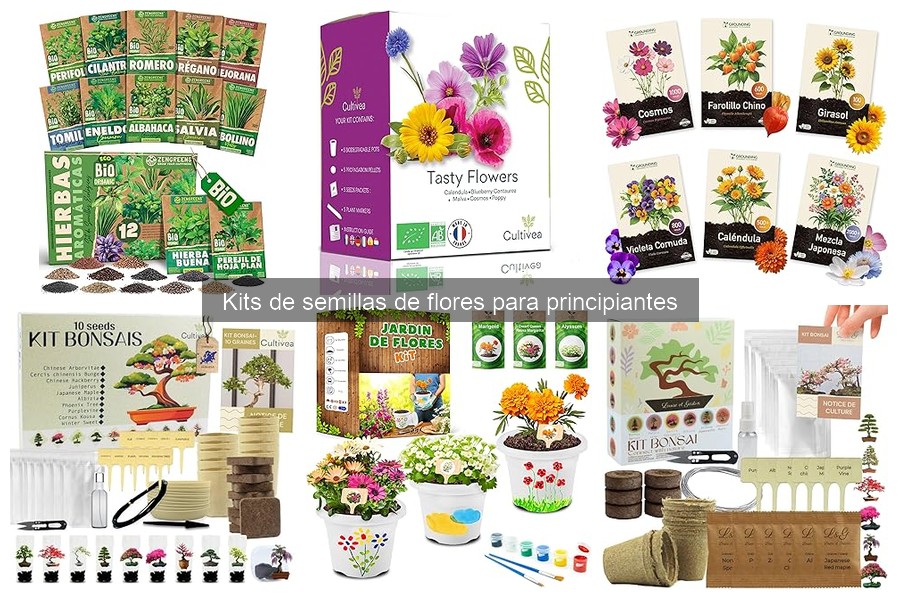 Mejor momento para usar kits de semillas de flores