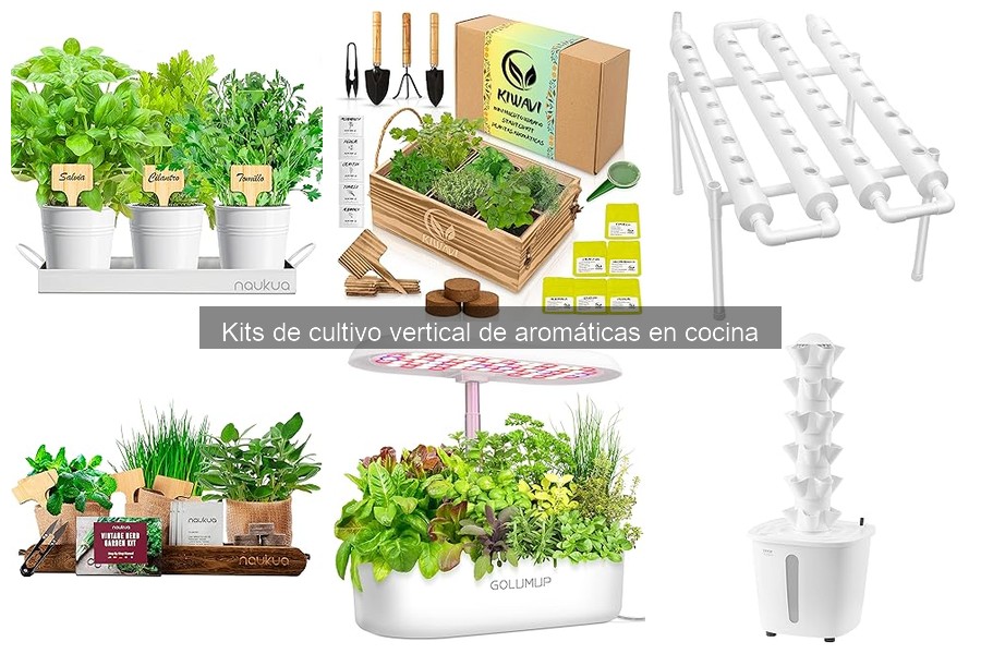 Mejores aromáticas para cultivar en kits verticales de cocina