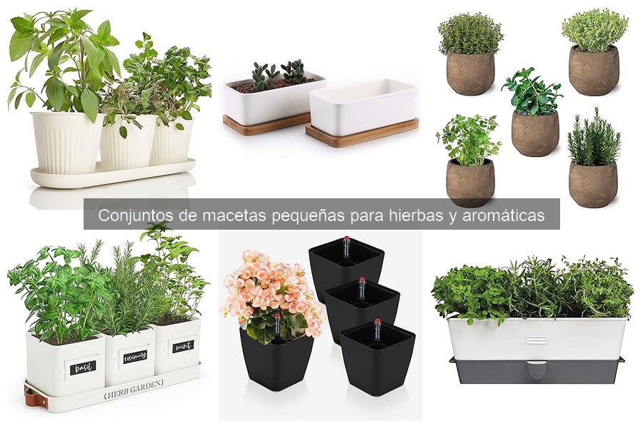 Mejores conjuntos de macetas pequeñas para hierbas aromáticas