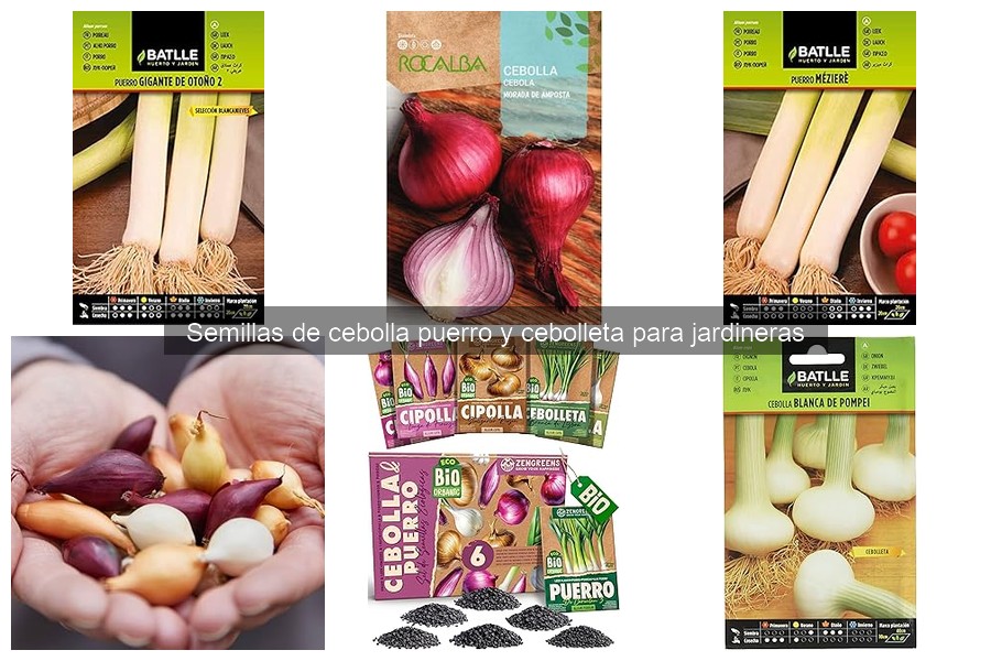 Mejores épocas para sembrar cebolla puerro y cebolleta