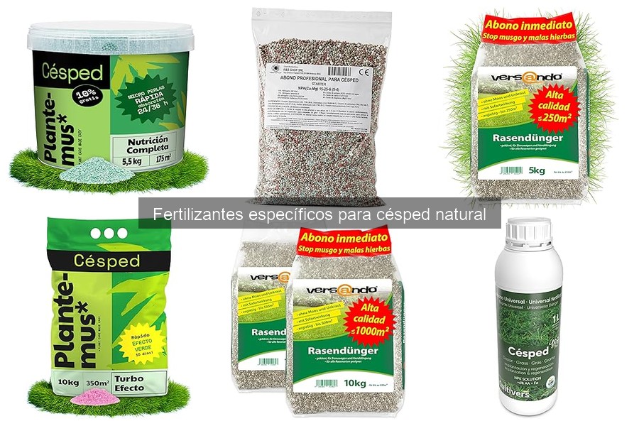 Mejores fertilizantes para césped según el clima