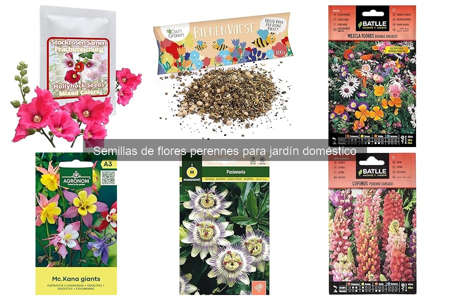 Mejores flores perennes para terrazas y balcones: comparativa