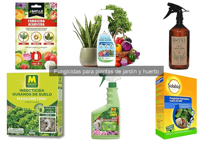 Mejores fungicidas para plantas de interior: comparativa 2023