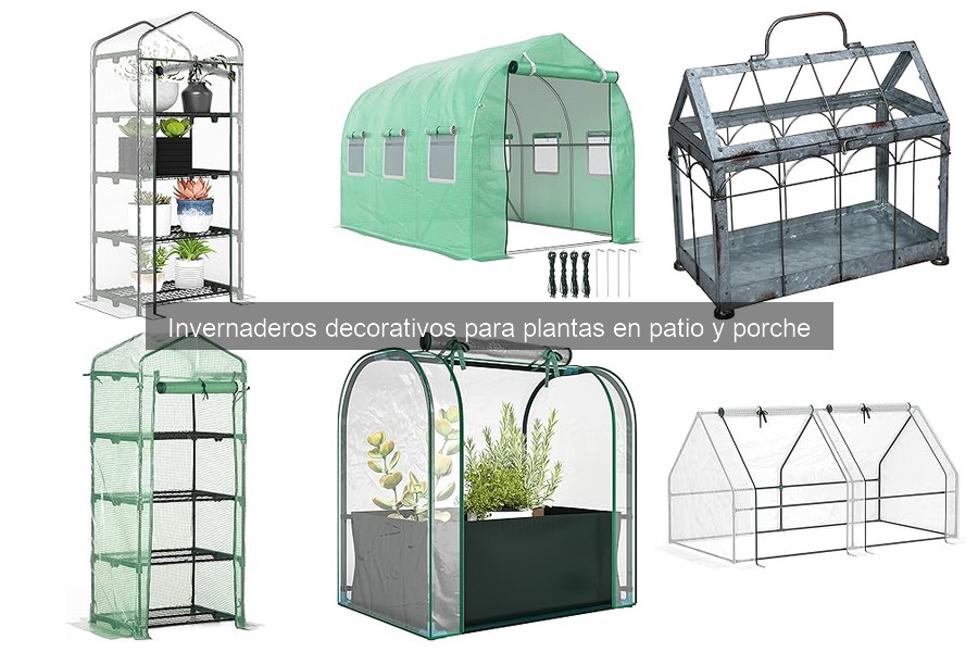 Mejores invernaderos decorativos: comparativa 2023