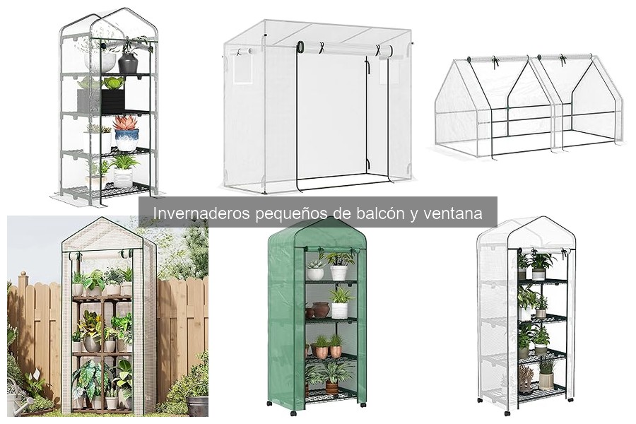 Mejores invernaderos pequeños para balcón en 2024