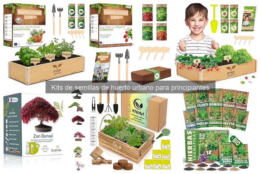 Mejores kits de semillas para principiantes en 2023