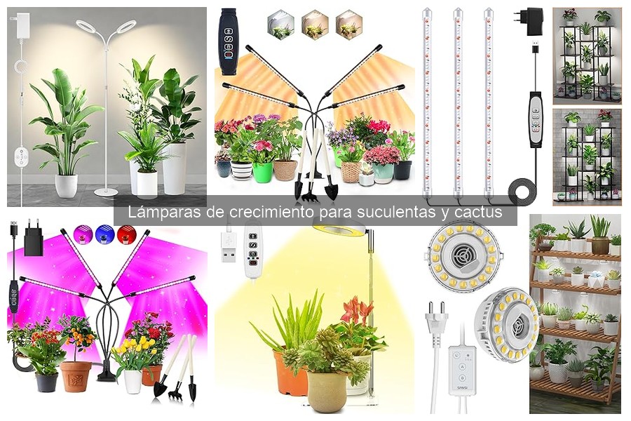Mejores lámparas de crecimiento para suculentas y cactus 2023