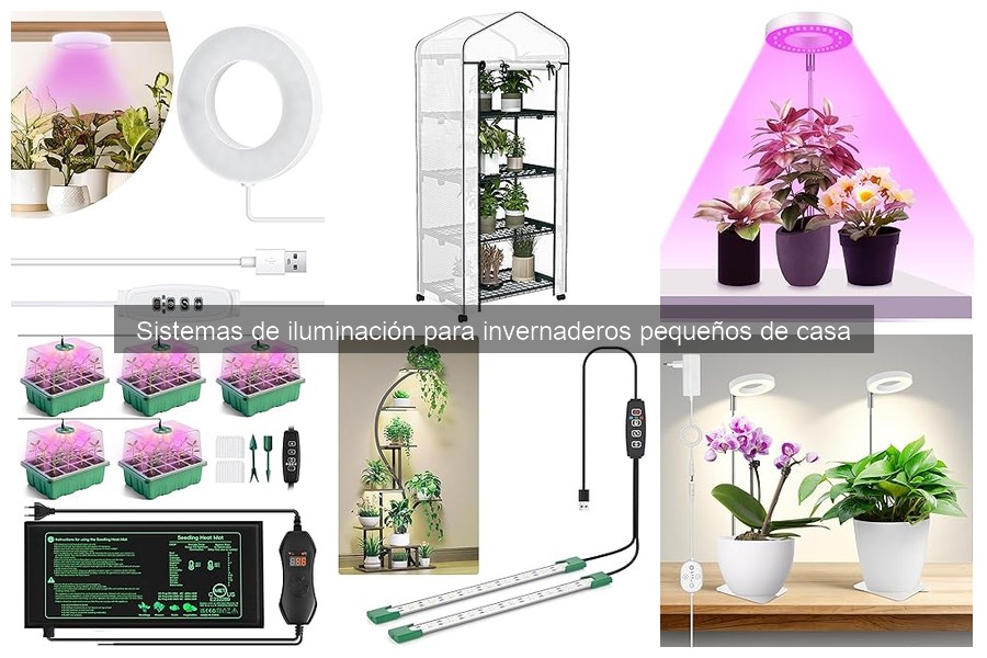 Mejores luces para invernaderos pequeños de casa