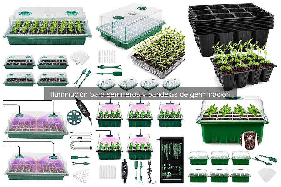 Mejores luces para semilleros: tipos y características