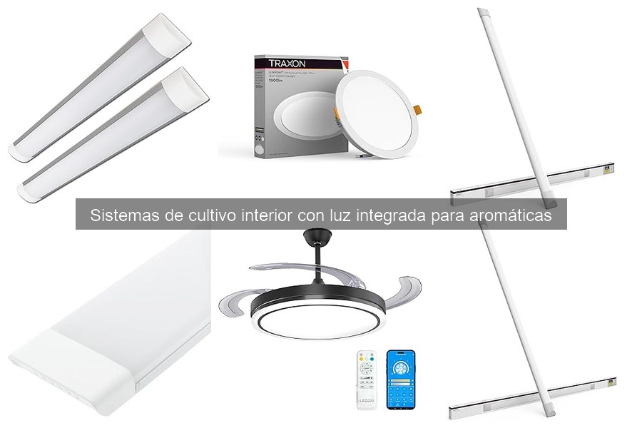 Mejores lugares para comprar sistemas de cultivo interior con luz