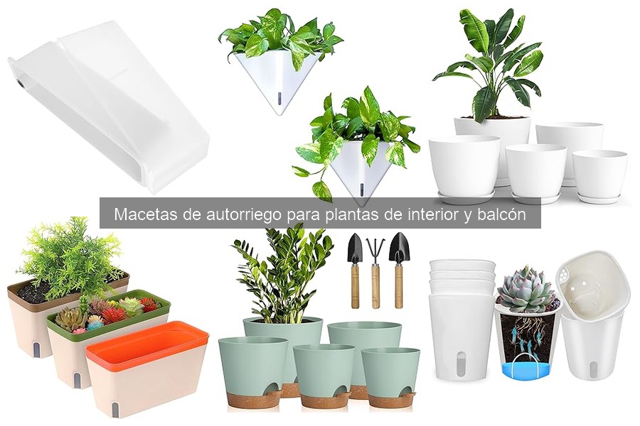 Mejores macetas de autorriego para plantas de interior