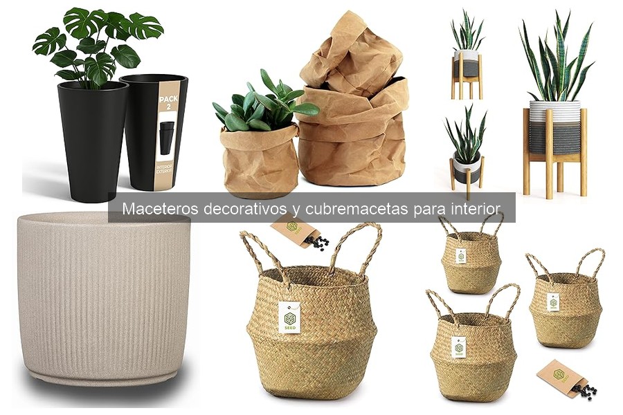 Mejores maceteros decorativos para apartamentos pequeños